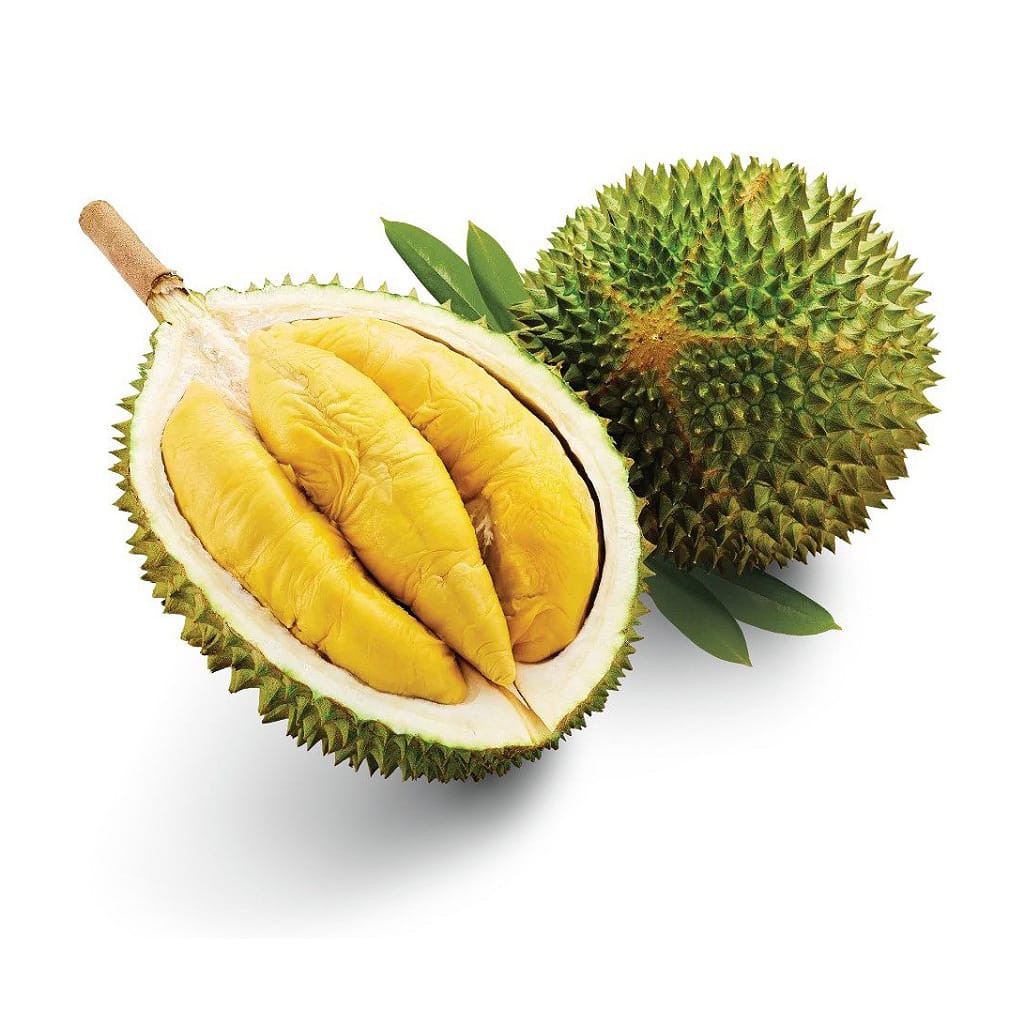 Buy Durian Fruit Plant from Ezonefly